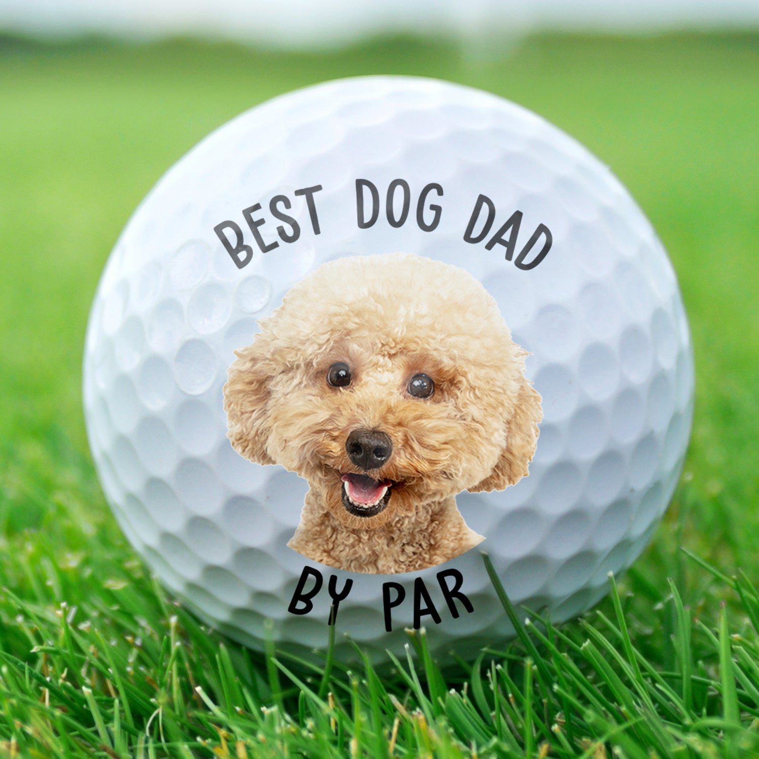 Custom Photo Best Dad By Par - Gift For Father, Grandpa, Dog Dad, Cat Dad - Personalized Golf Ball