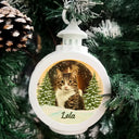 Pet Lovers, Dog Lovers, Cat Lovers, Memorial - Custom Photo Pet Face Dog Cat Memorial - Personalized Candlelight Lantern Ornament