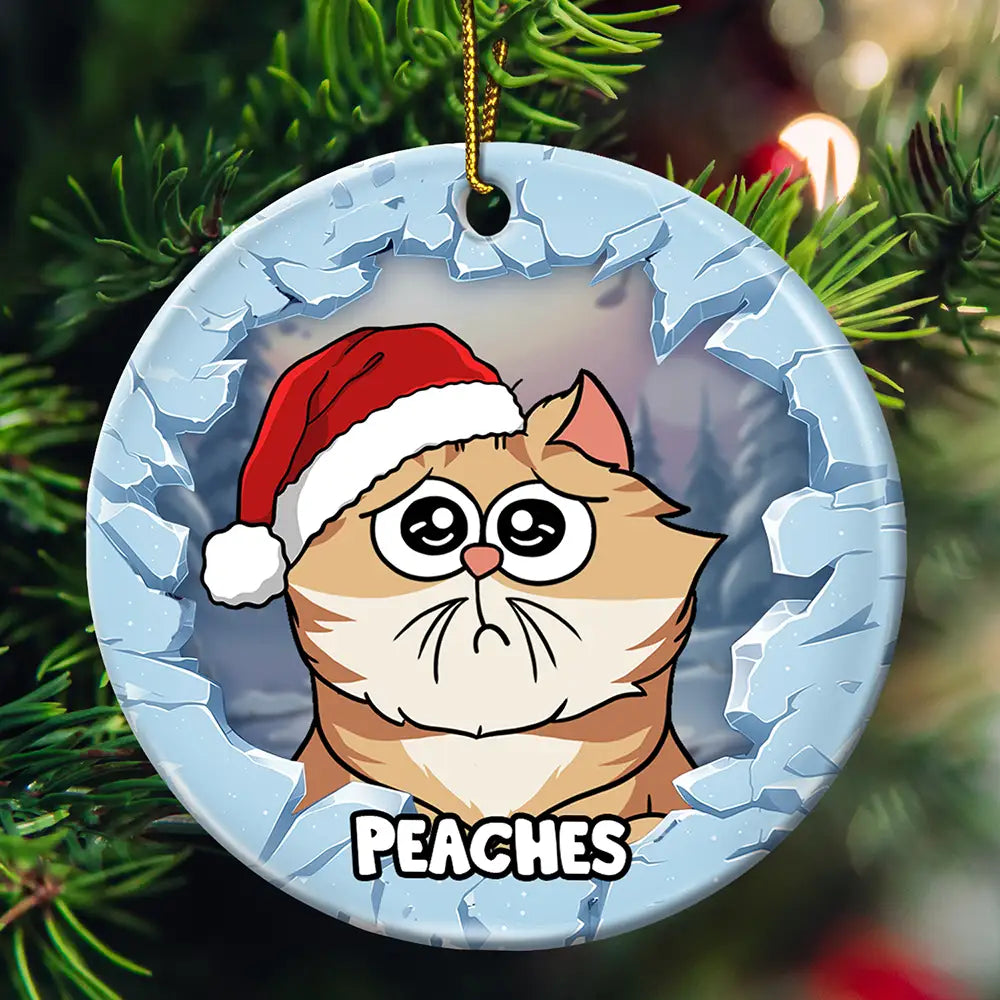 Christmas Dog Lovers Cat Lovers - 3D Inflated Effect Printed Ornament, Personalized Circle Ceramic Ornament