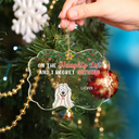 Christmas,Pet Lovers,Dog Lovers,Cat Lovers,Happy - On The Naughty List And We Regret Nothing Funny Dog Cat - Personalized Medallion Acrylic Ornament