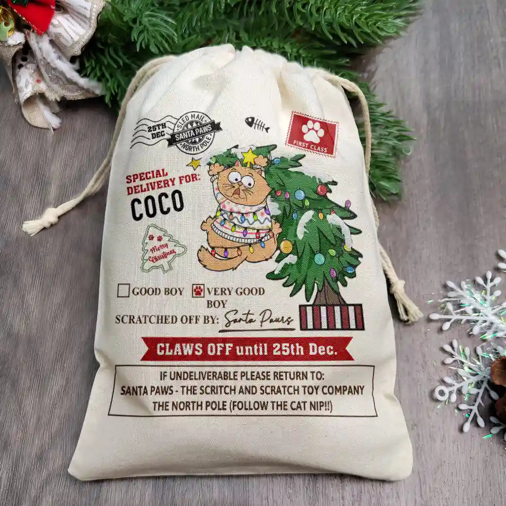 Christmas,Pet Lovers,Cat Lovers,Cat Mom,Cat Dad,Happy - Special Delivery For Cat Scratching - Personalized Favor Bag