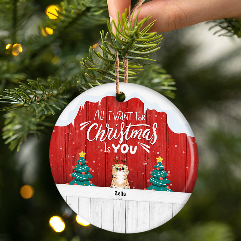 All I Want For Christmas Is You - Christmas Gift For Pet Lovers - Personalized Custom Circle Ceramic Ornament