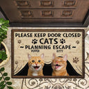 Pet Lovers, Cat Lovers - Custom Photo Cats Planning Escape - Personalized Doormat