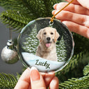 Custom Photo Pet Face - Christmas Gift For Dog Lovers, Cat Lovers, Pet Lovers, Pet Memorial - Personalized Circle Glass Ornament