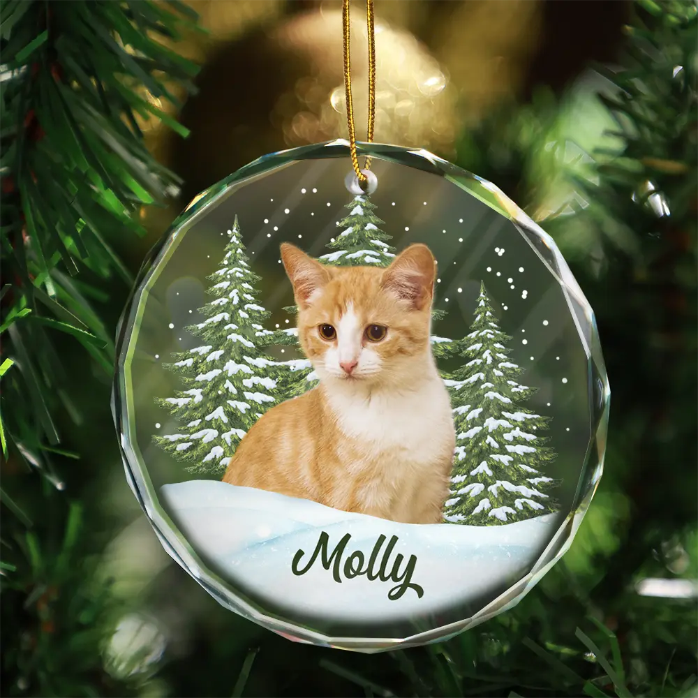 Custom Photo Pet Face - Christmas Gift For Dog Lovers, Cat Lovers, Pet Lovers, Pet Memorial - Personalized Circle Glass Ornament