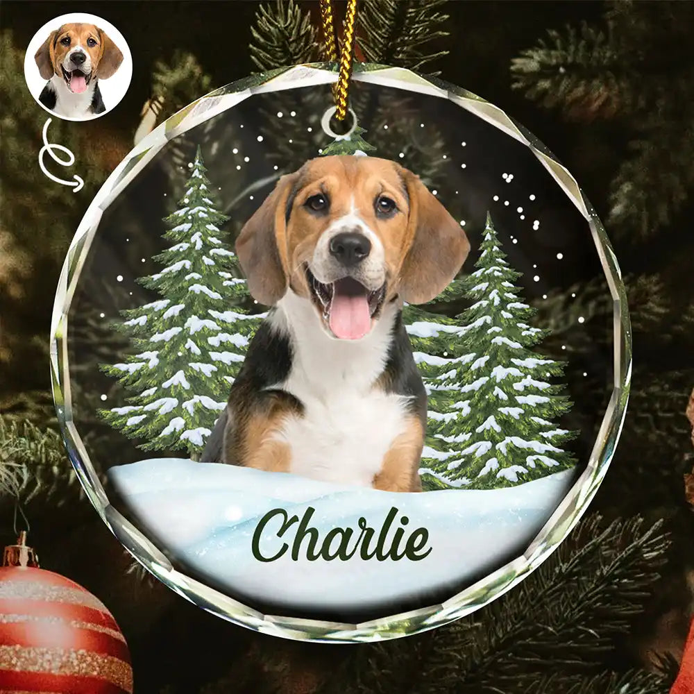 Custom Photo Pet Face - Christmas Gift For Dog Lovers, Cat Lovers, Pet Lovers, Pet Memorial - Personalized Circle Glass Ornament