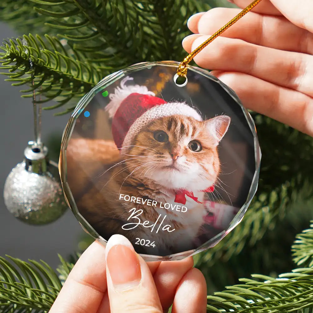 Memorial, Pet Lovers, Cat Lovers, Dog Lovers - Custom Photo Forever Loved Memorial Dog Cat Pet - Personalized Glass Ornament
