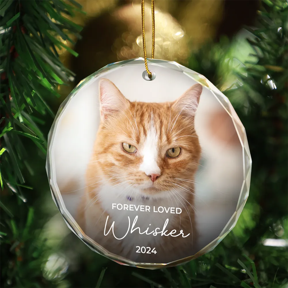 Memorial, Pet Lovers, Cat Lovers, Dog Lovers - Custom Photo Forever Loved Memorial Dog Cat Pet - Personalized Glass Ornament
