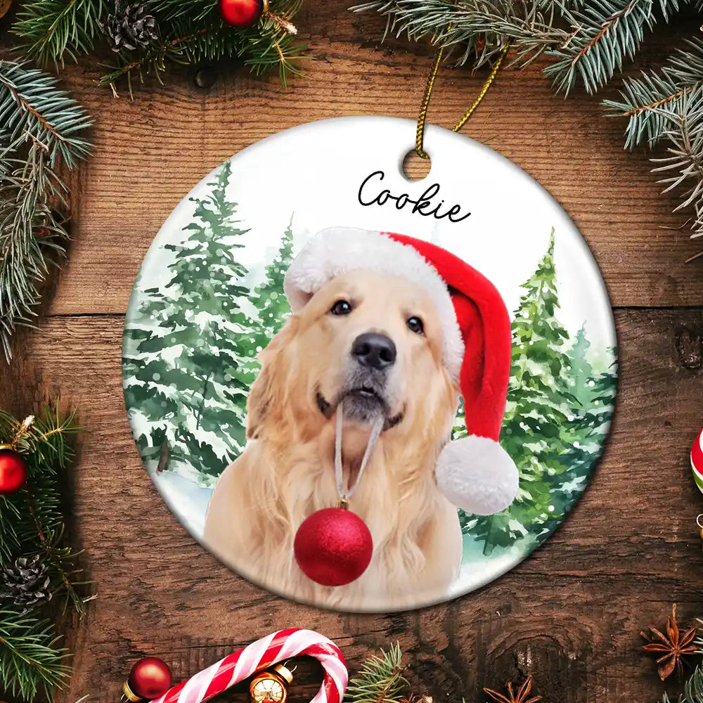 Pet Lovers - Custom Photo Dog Cat Christmas - Personalized Circle Ceramic Ornament