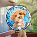 Pet Lovers, Dog Lovers, Cat Lovers, Memorial - Custom Photo Dog Cat Pet Memorial - Personalized Stained Glass Window Hanging Suncatcher