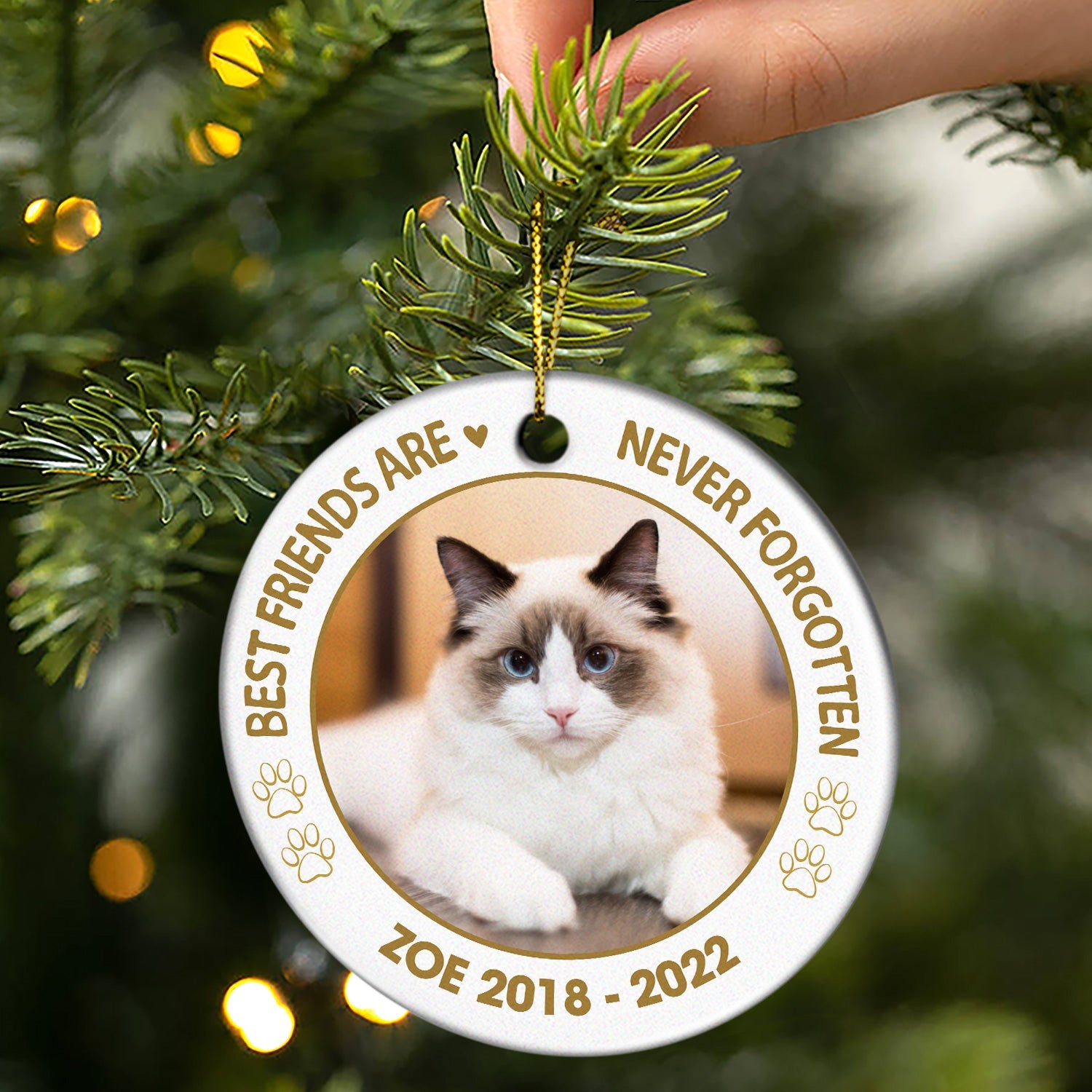 Custom Photo Dog Cat You Left Paw Prints On Our Hearts - Memorial Gift - Personalized Custom Circle Ceramic Ornament