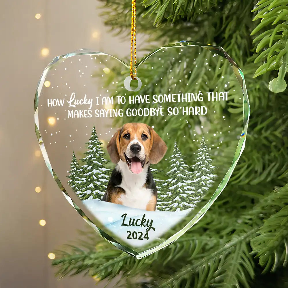 Memorial, Pet Lovers - Custom Photo How Lucky I Am Memorial Dog Cat - Personalized Glass Ornament