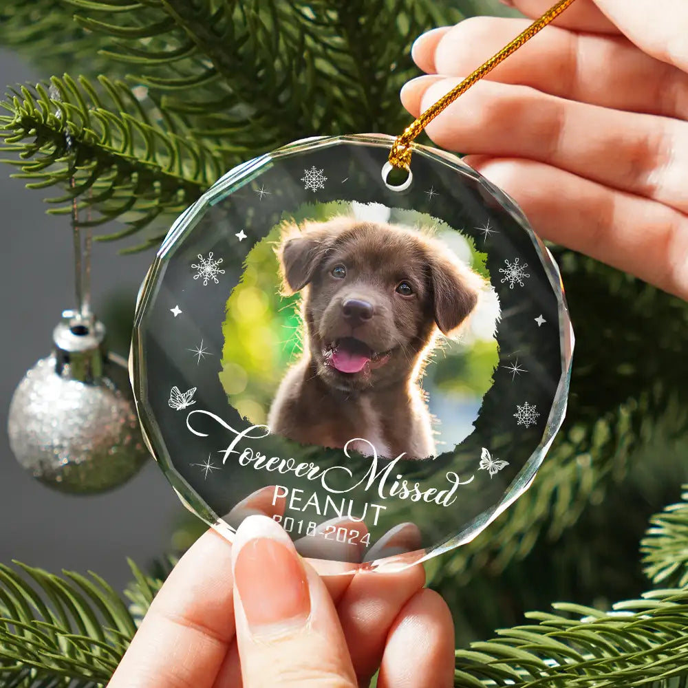 Custom Photo Memorial Dog Cat Loss Keepsake - Personalized Circle Glass Ornament