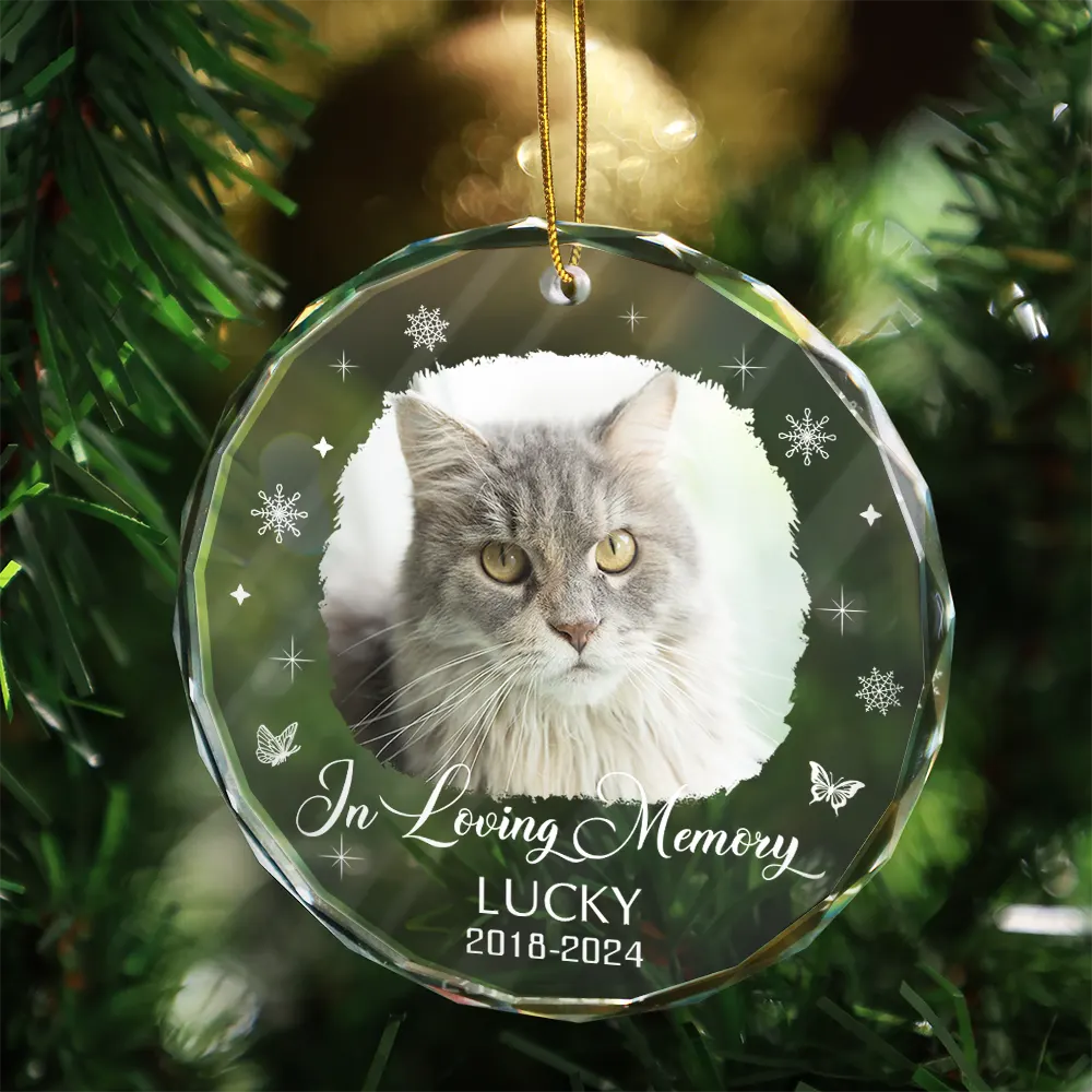 Custom Photo Memorial Dog Cat Loss Keepsake - Personalized Circle Glass Ornament