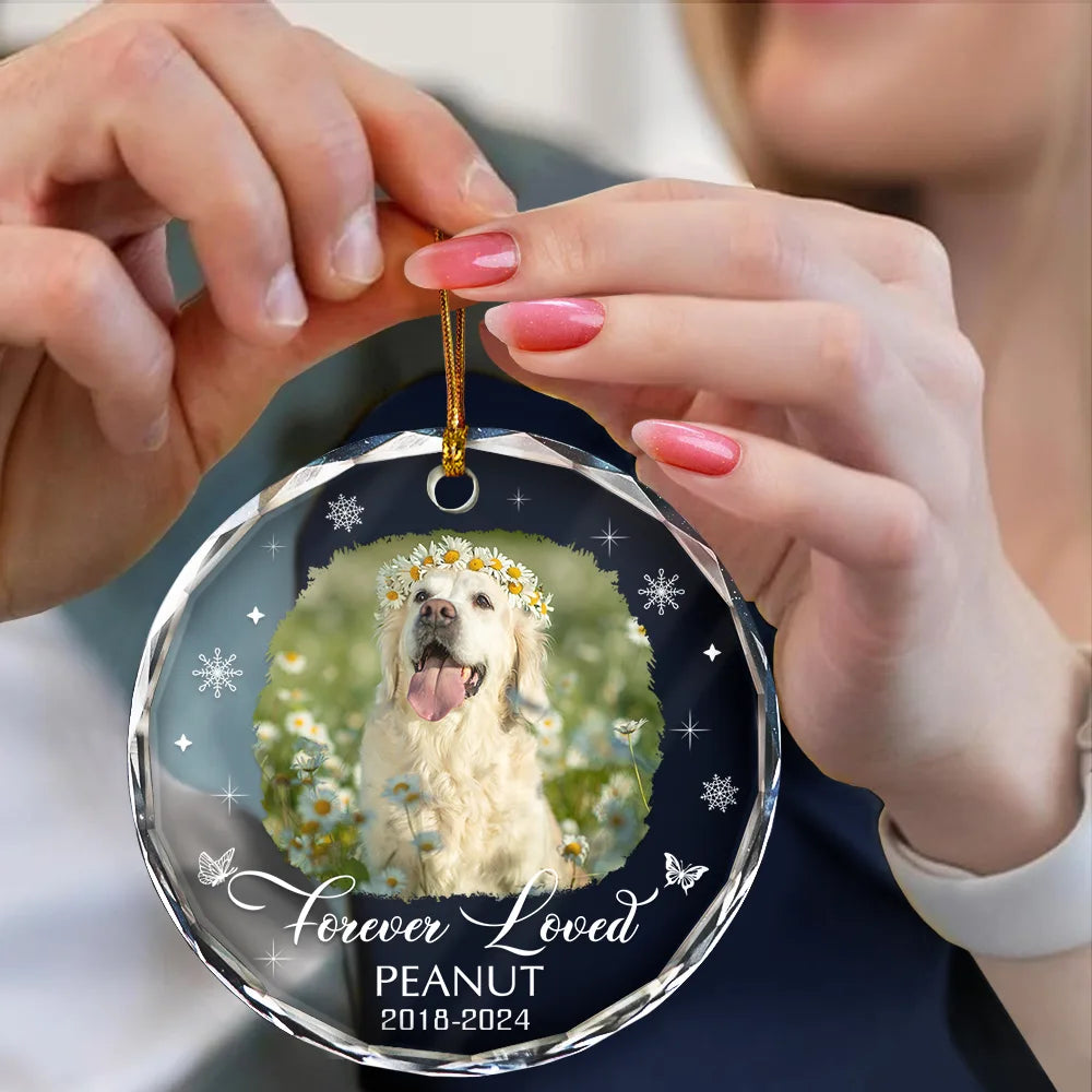 Custom Photo Memorial Dog Cat Loss Keepsake - Personalized Circle Glass Ornament