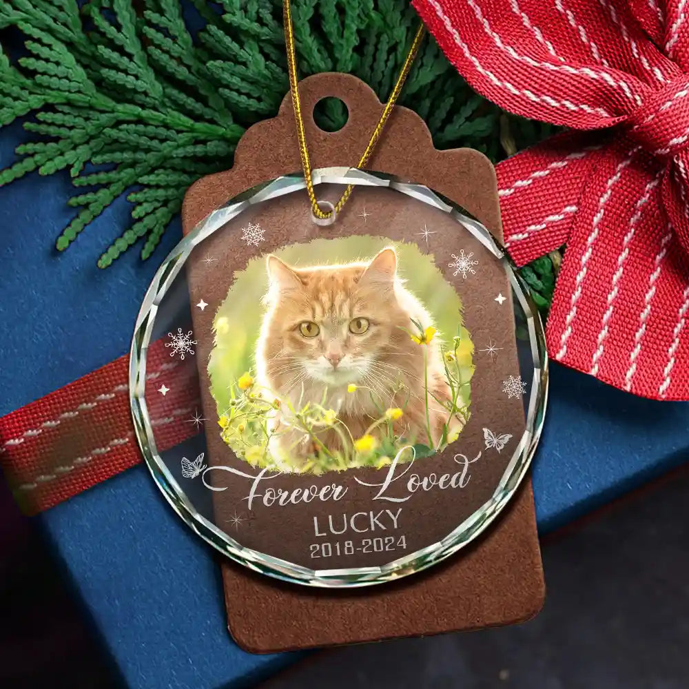 Custom Photo Memorial Dog Cat Loss Keepsake - Personalized Circle Glass Ornament