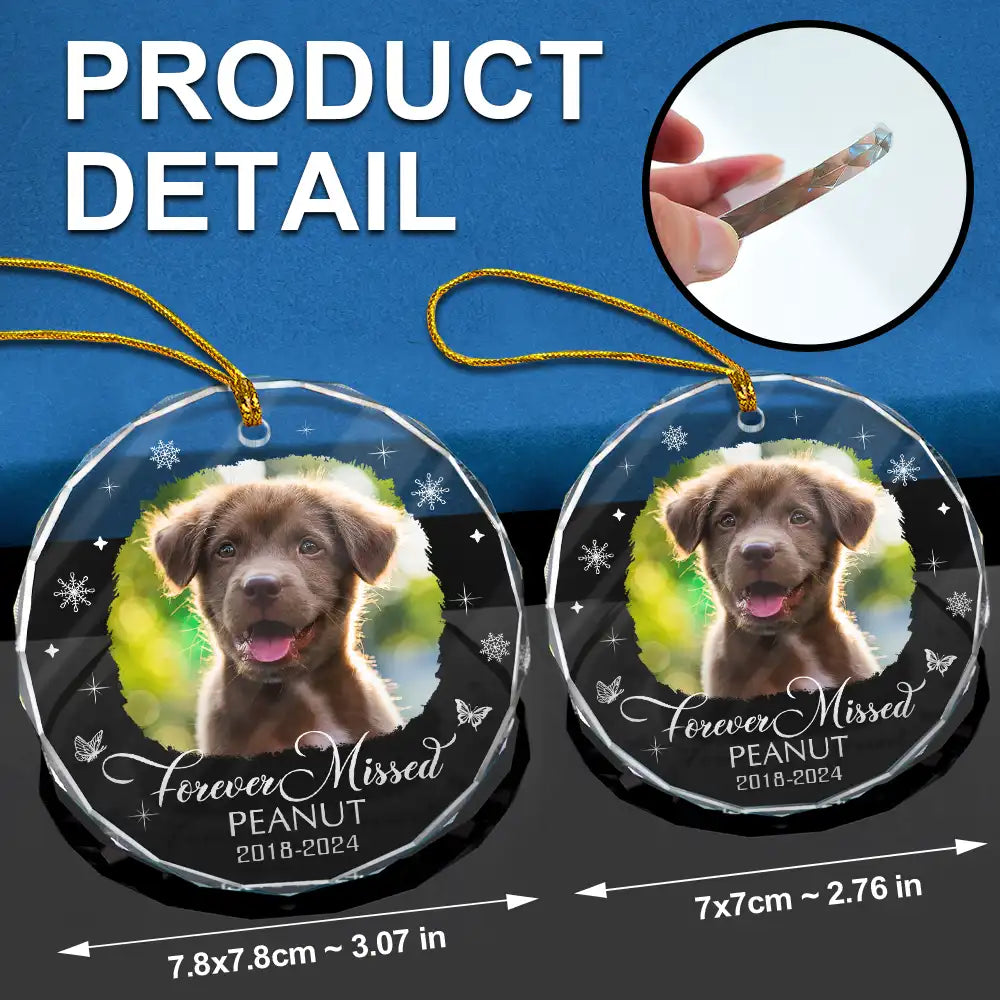 Custom Photo Memorial Dog Cat Loss Keepsake - Personalized Circle Glass Ornament