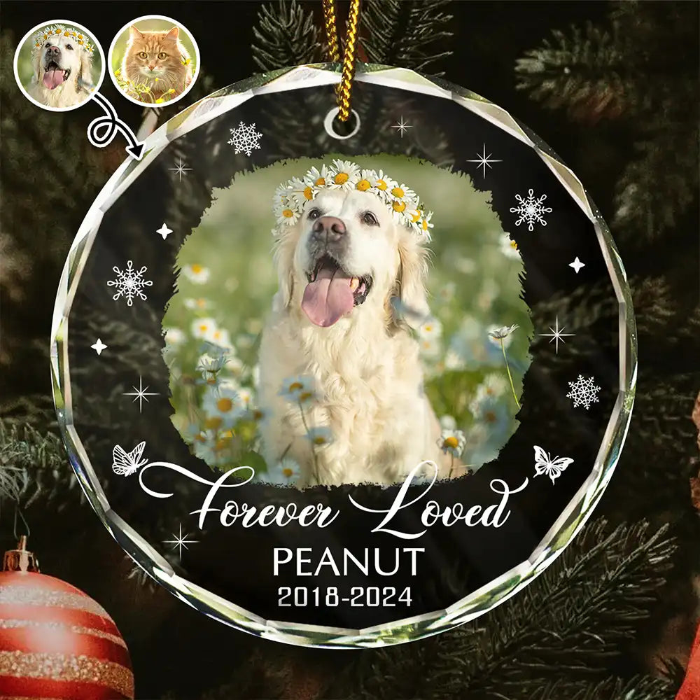 Custom Photo Memorial Dog Cat Loss Keepsake - Personalized Circle Glass Ornament