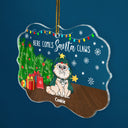 Here Comes Santa Claws Funny Cartoon Cats - Christmas Gift For Cat Lovers - Personalized Medallion Acrylic Ornament