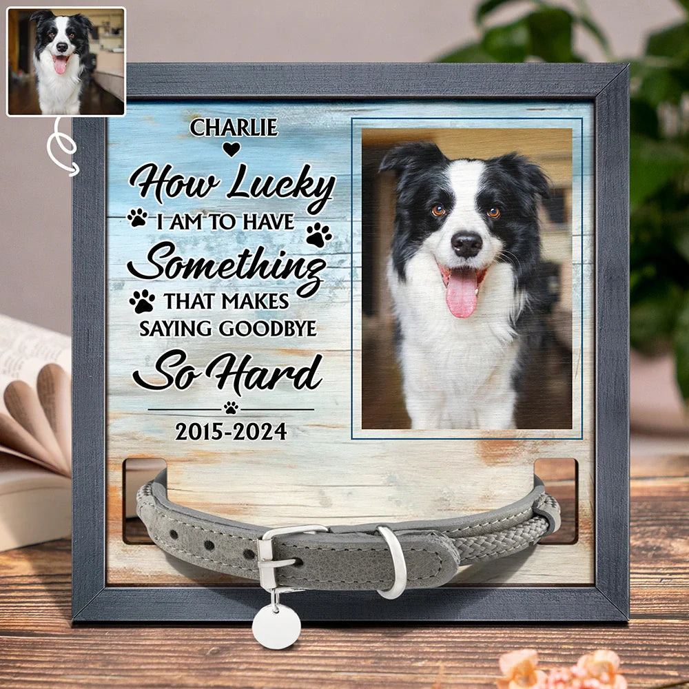 Pet Lovers,Dog Lovers,Cat Lovers,Memorial,Custom Photo - Custom Photo How Lucky I Have Pet Memorial - Personalized Pet Loss Sign, Collar Frame