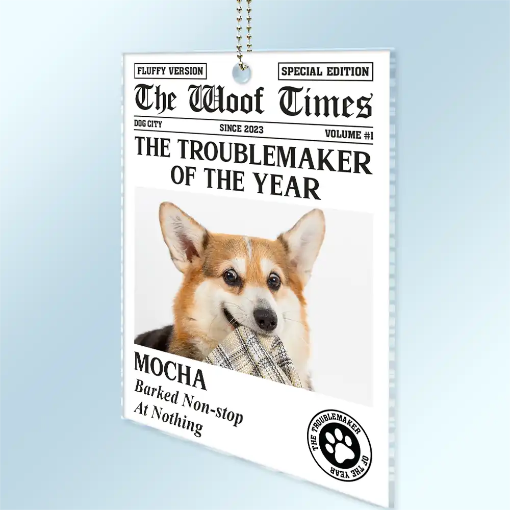 Pet Lovers - Custom Photo Funny Dog Cat Troublemaker Of The Year - Personalized Acrylic Car Hanger