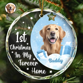 Dog Lovers, Cat Lovers - Custom Photo Dog Cat 1st Christmas In My Forever Home - Personalized Circle Glass Ornament