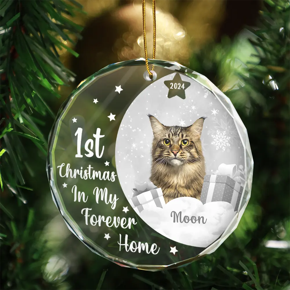 Dog Lovers, Cat Lovers - Custom Photo Dog Cat 1st Christmas In My Forever Home - Personalized Circle Glass Ornament