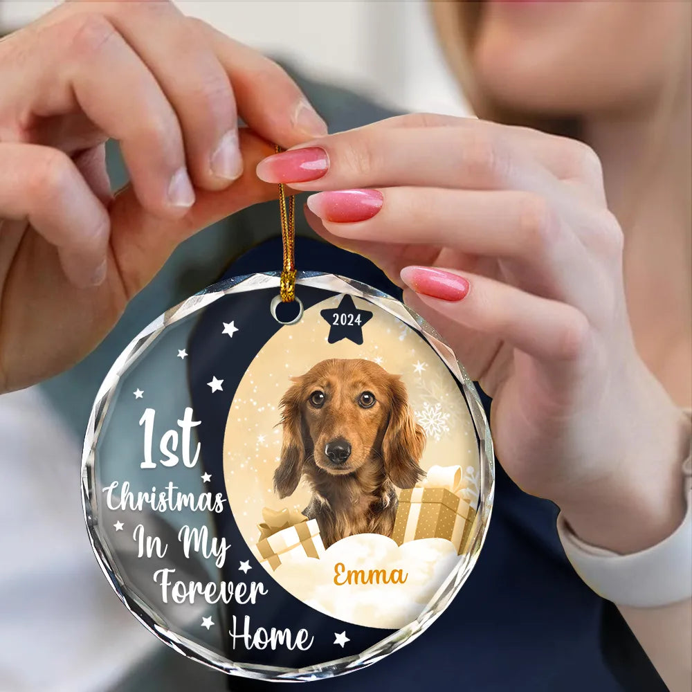 Dog Lovers, Cat Lovers - Custom Photo Dog Cat 1st Christmas In My Forever Home - Personalized Circle Glass Ornament