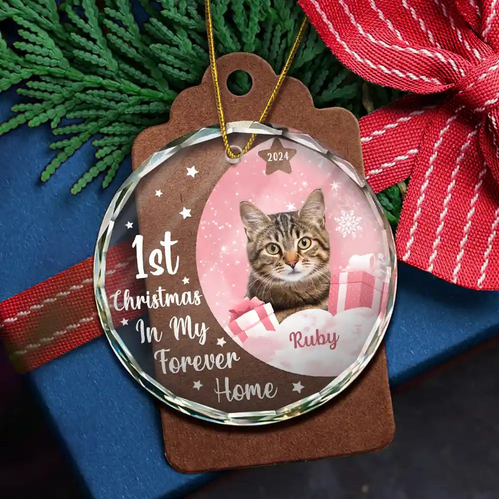 Dog Lovers, Cat Lovers - Custom Photo Dog Cat 1st Christmas In My Forever Home - Personalized Circle Glass Ornament