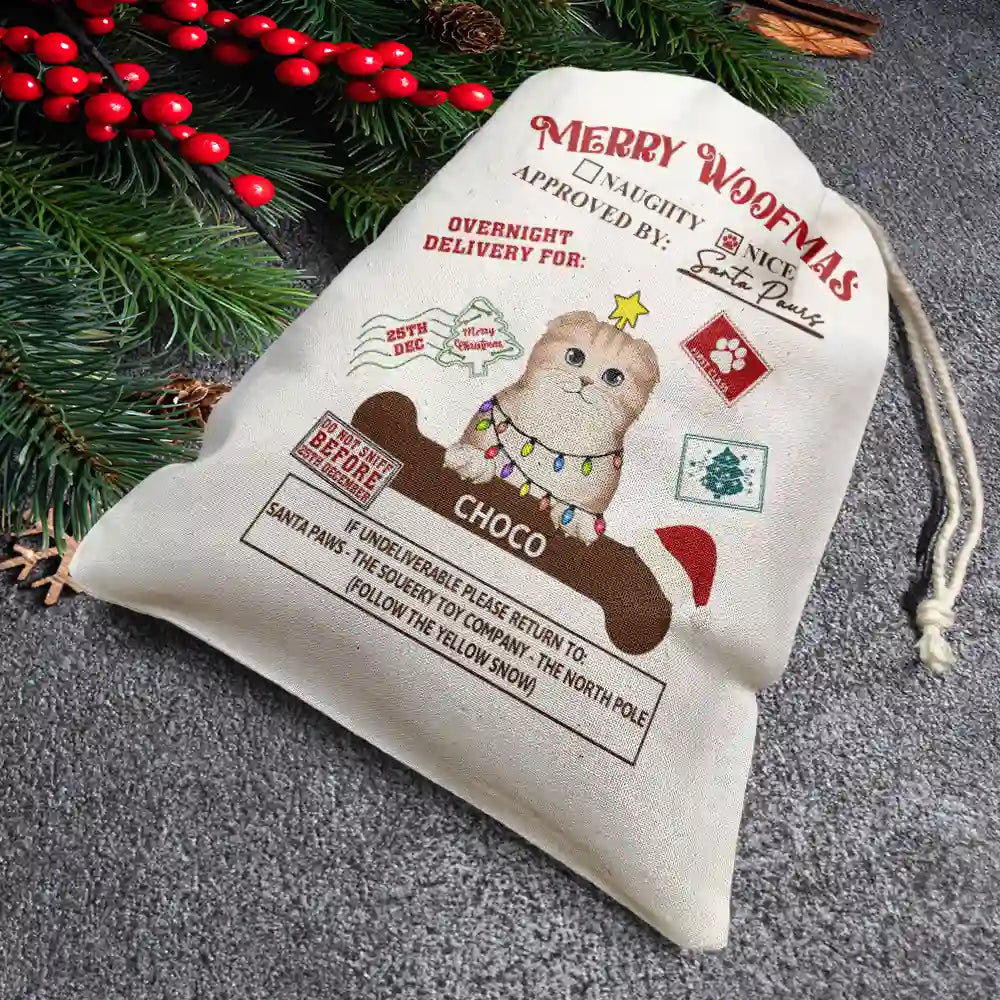 Overnight Delivery From Santa Paws - Personalized Favor Bag