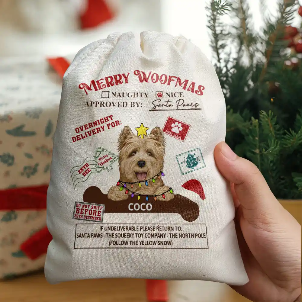 Overnight Delivery From Santa Paws - Personalized Favor Bag