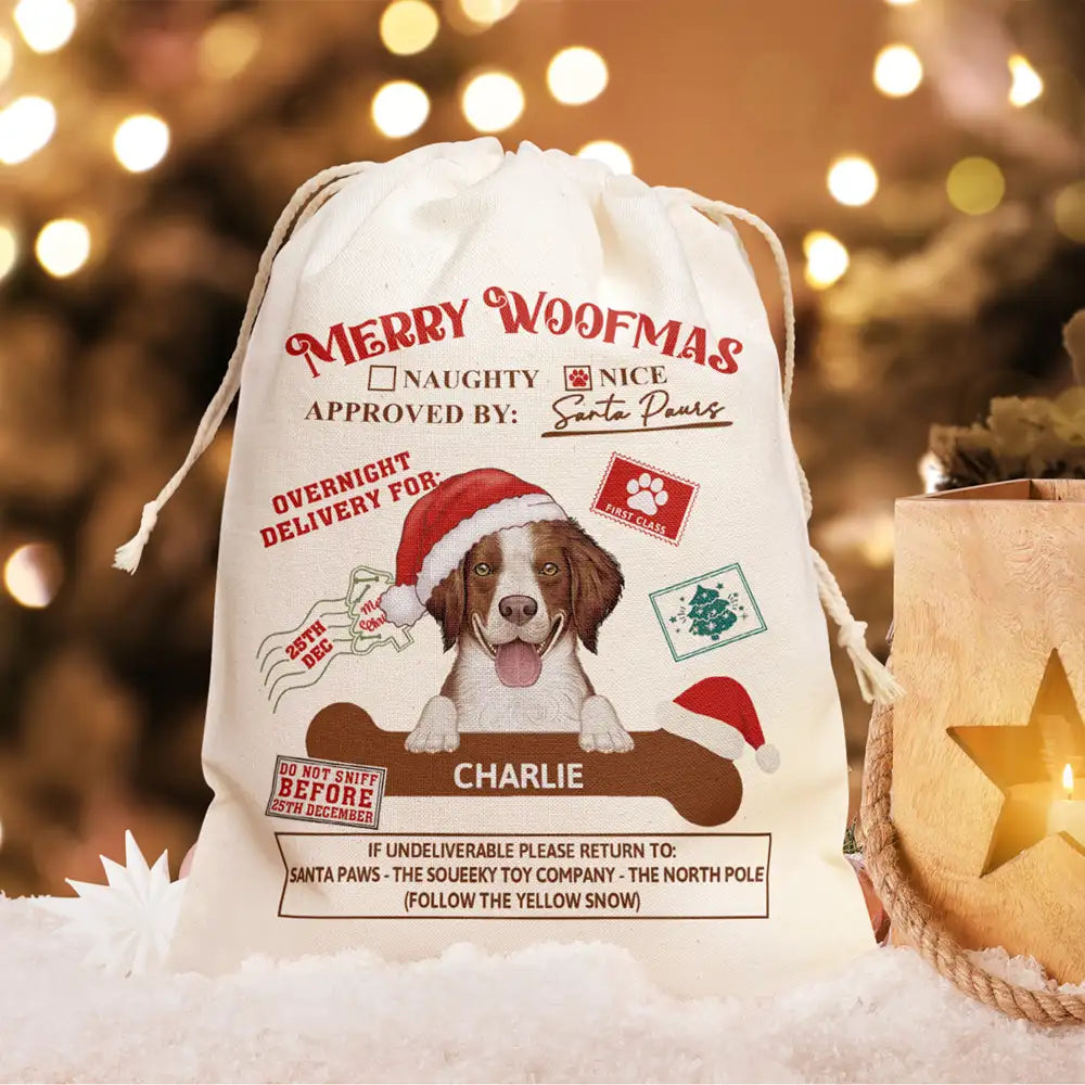 Overnight Delivery From Santa Paws - Personalized Favor Bag