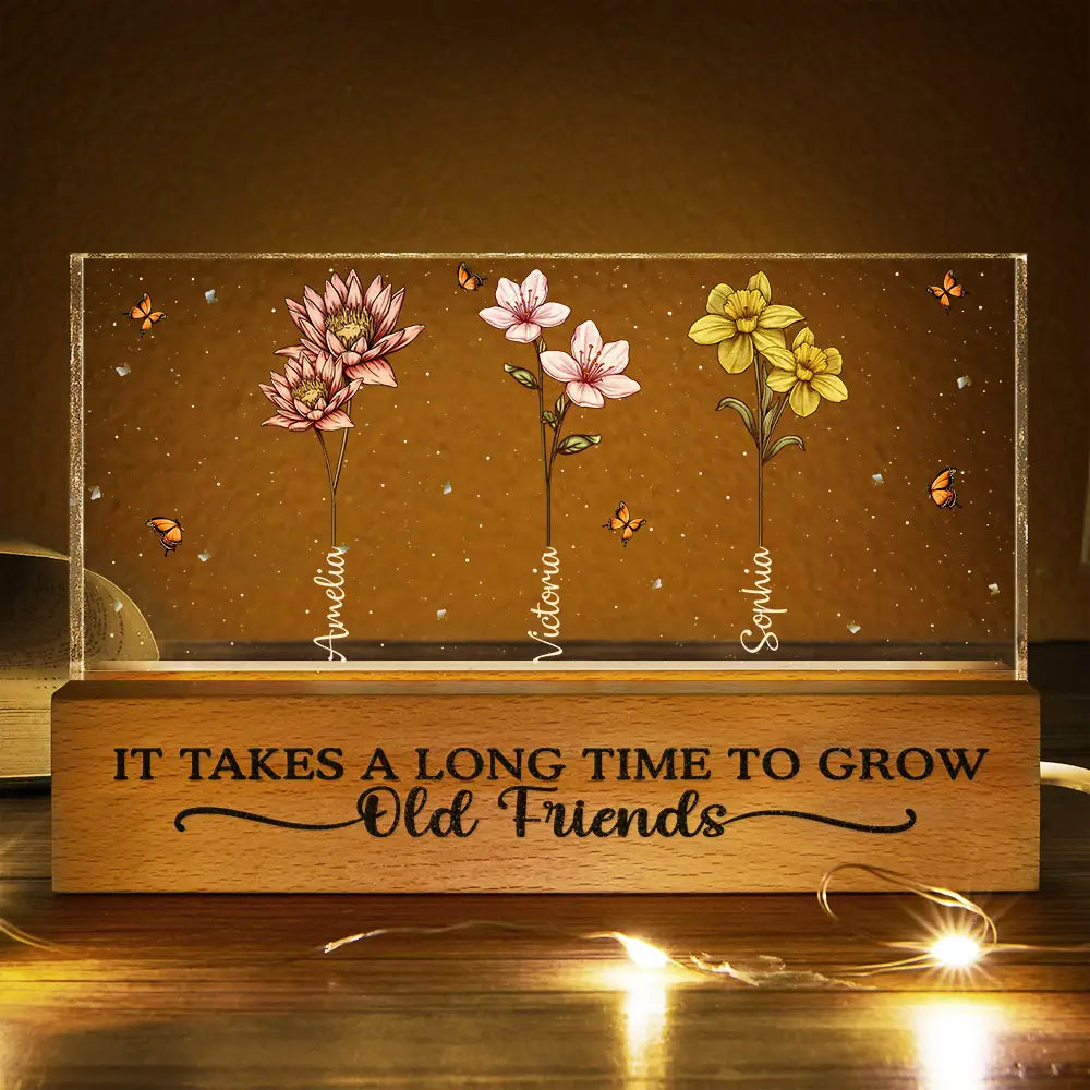 Happy,Gift For Bestie,Old Best friends,Gift For Women - It Takes A Long Time To Grow Old Friends Birth Flowers - Personalized Rectangle LED Light