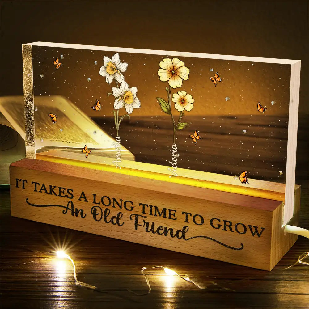 Happy,Gift For Bestie,Old Best friends,Gift For Women - It Takes A Long Time To Grow Old Friends Birth Flowers - Personalized Rectangle LED Light